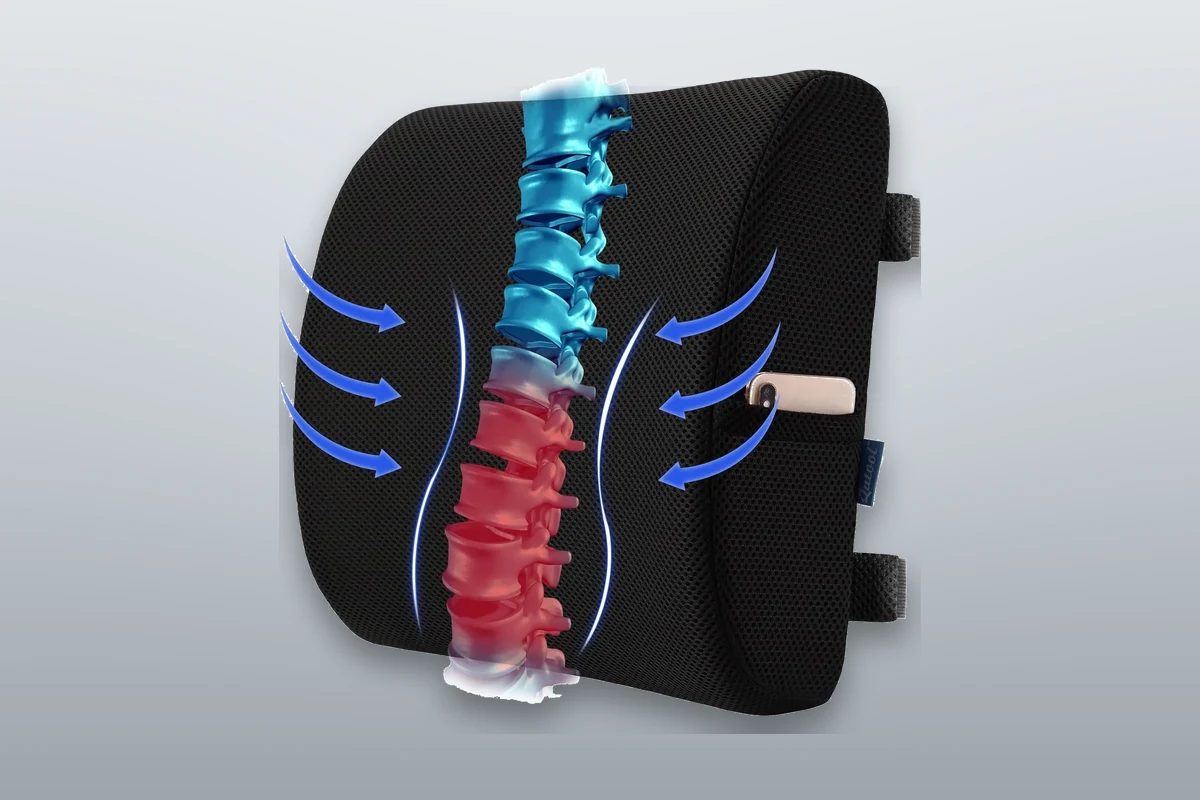 #2 — Qutool memory foam lumbar pillow